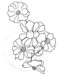 一幅画的幅怎么组词