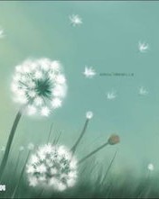 蒲公英怎么组词