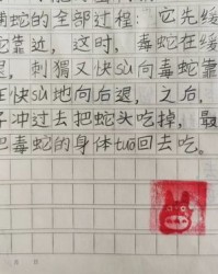 刺猬的刺怎么写怎么组词