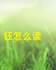 珍贵的贵组词(珍贵的贵组词怎么组)