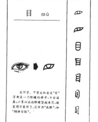 运怎么组词(运怎么组词一年级)