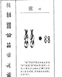 兹的组词(兹的组词和部首)