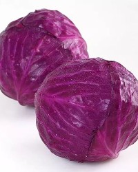 紫甘蓝怎么组词