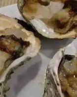 煮扇贝怎么组词