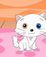 猫熬猫毛怎么组词