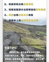 正和刘怎么组词