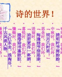 唐诗宋宋怎么组词