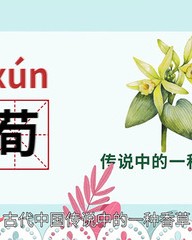 传说的传组词(传说的传组词怎么写)