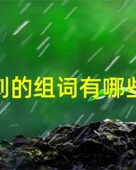 刺猬组词(刺猬的猬怎么组词)