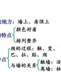 夜宿的叶怎么组词