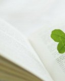 歹怎么组词(风字头里面一个云,止,百,歹怎么组词)