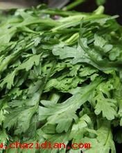 茼怎么组词(藤怎么组词)