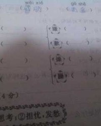 一字怎么组词(菌字怎么组词)