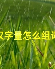 板怎么组词(板怎么组词语)