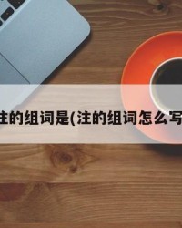 注的组词是(注的组词怎么写)