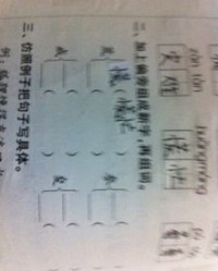 兼组词加结构怎么写