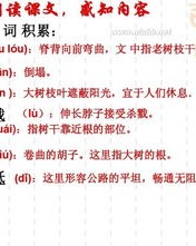 商店的电怎么组词