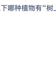 羊怎么组词杨树的呀