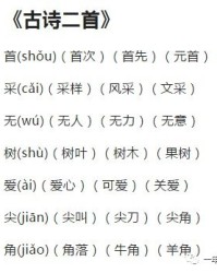 墓和募字怎么组词呢