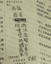 茶的拼音怎么组词和部首