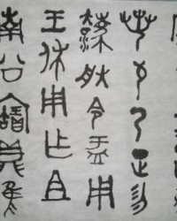 沾组词
