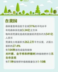 洗漱的树怎么组词