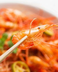 虾子虾子虾怎么组词