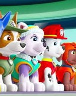 汪汪队立可以怎么组词