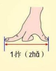 跪你能跪怎么组词