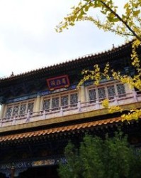 檐怎么读怎么组词(檐怎么读和组词)