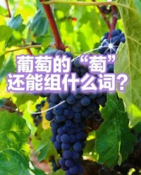 葡萄的萄怎么组词(葡萄的萄怎么组词二字)