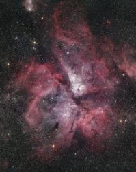 息字怎么组词(息怎样组词)