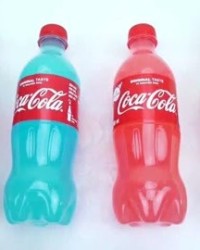 鹦鹉的鹦的组词(鹦鹉的鹦的组词怎么写)