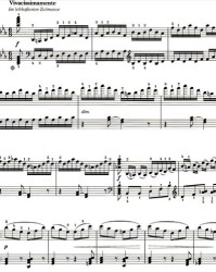 弹琴的琴怎么组词