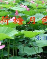 荷花拓展组词怎么写