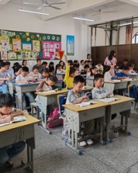 随怎么组词(随怎么组词和拼音)