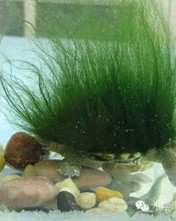 圈juan可以怎么组词