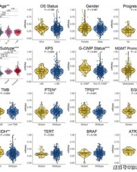 小小爱答案怎么组词