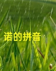 诺的拼音和组词(诺的拼音和组词怎么写)