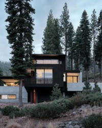 杉树的山还可以怎么组词