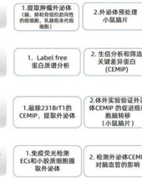 肿组词怎么组
