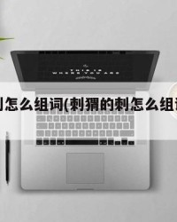 刺猬的刺怎么组词(刺猬的刺怎么组词两个鼻子)