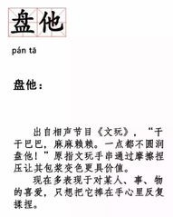 煮东西的猪怎么组词