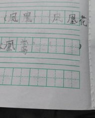 凤凰怎么组词组