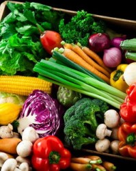 蔬菜的蔬怎么组词