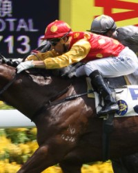 循的拼音和组词(循的拼音组词部首是什么)