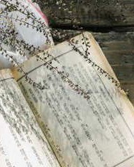 愤组词部首(愤的组词和读音)