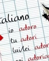 组词美丽的丽怎么组词