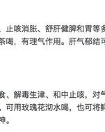 白芍的的底怎么组词