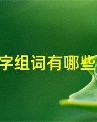 撞击的撞组词(撞击的撞组词怎么组)